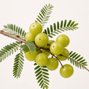 Amla